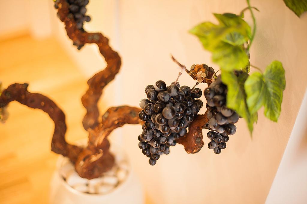 Vineyard Of Sibenik Apartment Ruang foto